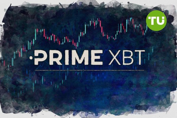 Understanding the PrimeXBT Team Innovators in the Trading World Understanding the PrimeXBT Team Innovators in the Trading World