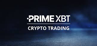 Understanding the PrimeXBT Team Innovators in the Trading World Understanding the PrimeXBT Team Innovators in the Trading World