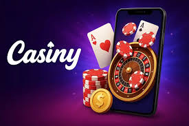Discover the Benefits of the Casiny VIP Program Discover the Benefits of the Casiny VIP Program